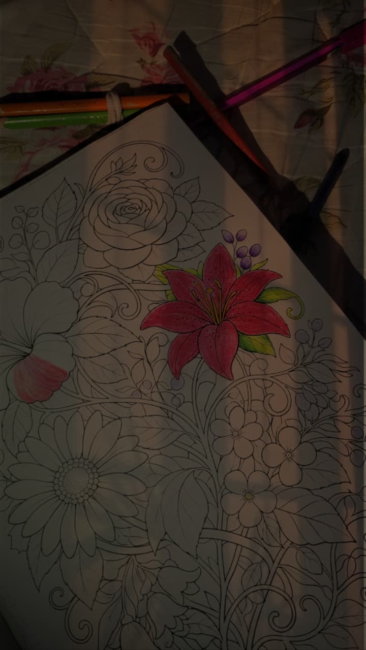 Stress Relief Coloring Book for Adults – Mandala & Floral Relaxation Pages